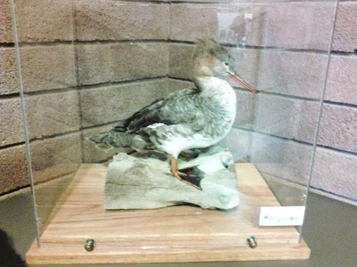 Visitor Center «Lake Mead Visitor Center», reviews and photos