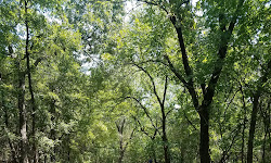 Arbor Hills Nature Preserve