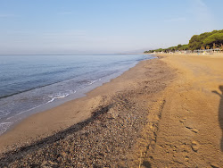 Photo de Platja de l'Esquirol avec baie longue