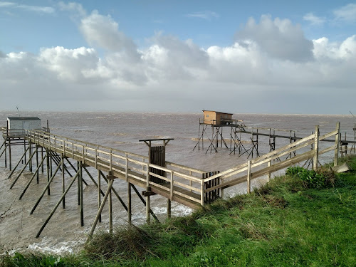 La fleur de Sel à Port-des-Barques