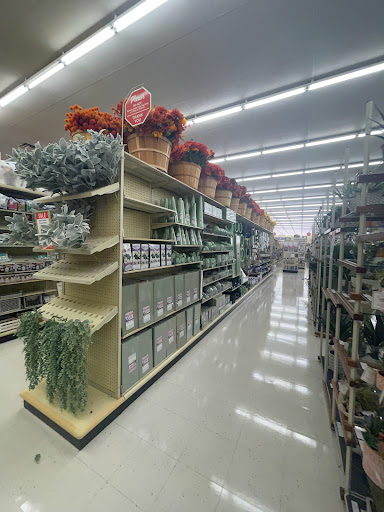 Craft Store «Hobby Lobby», reviews and photos, 5744 Hwy 6, Missouri City, TX 77459, USA