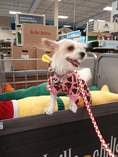 Pet Supply Store «PetSmart», reviews and photos, 310 N White Horse Pike, Lawnside, NJ 08045, USA