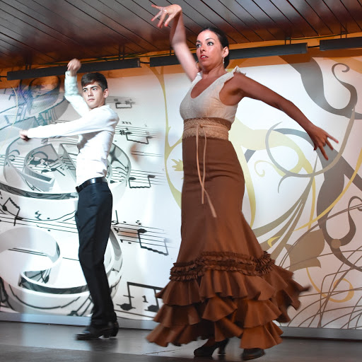 Flamenco del Sur Plaza las Américas
