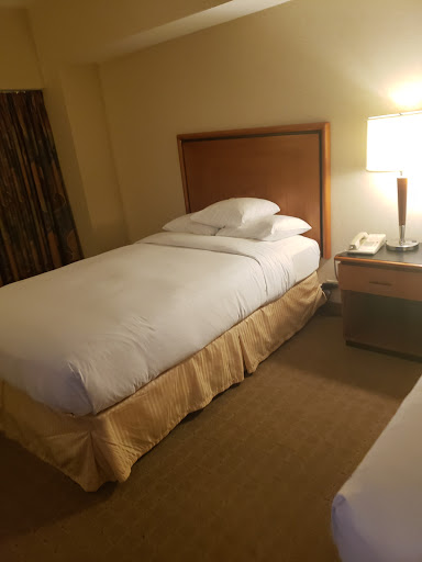Hotel «DoubleTree Suites by Hilton Hotel & Conference Center Chicago-Downers Grove», reviews and photos, 2111 Butterfield Rd, Downers Grove, IL 60515, USA