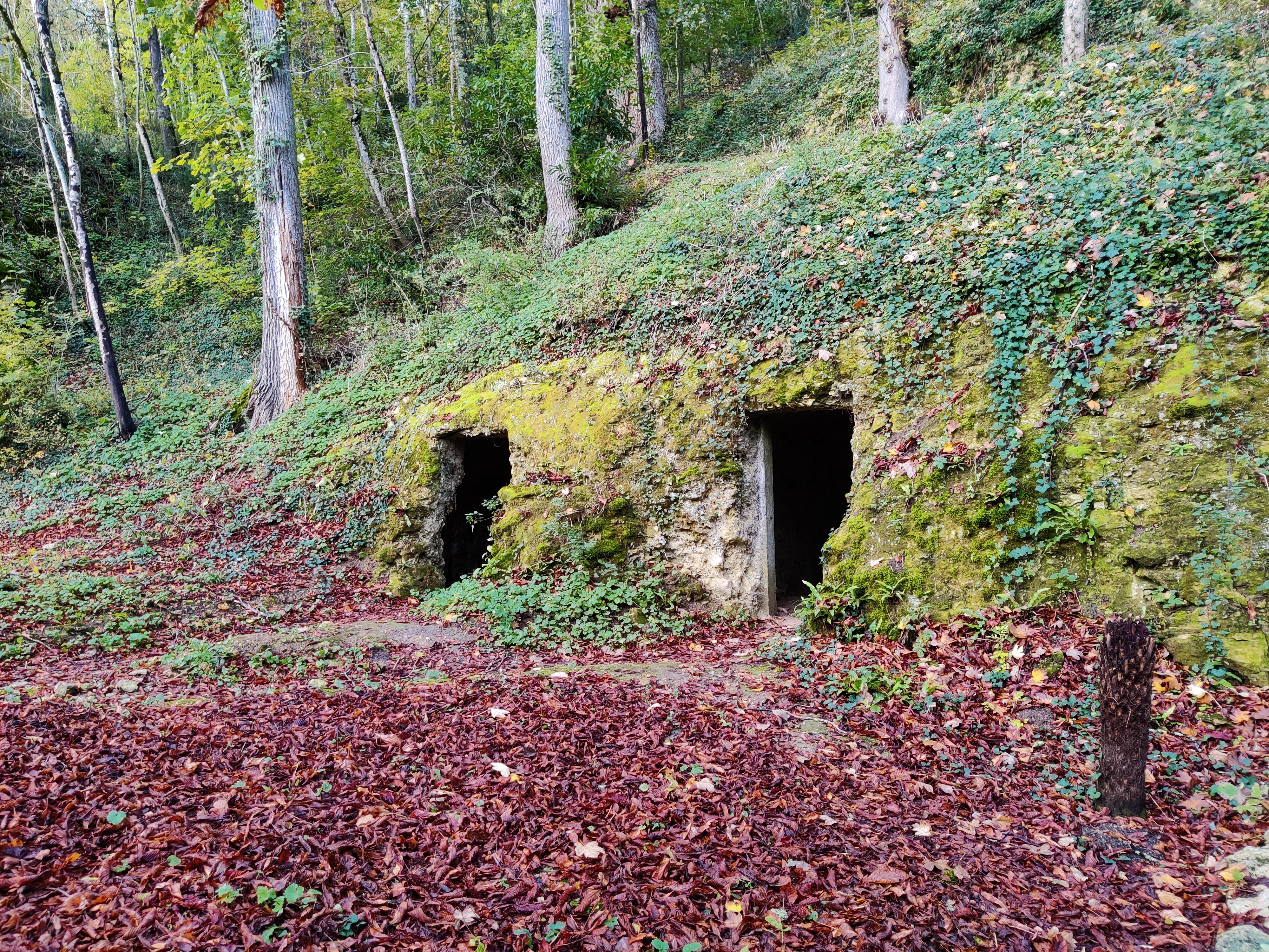 Photo n° 2 de l'avis de Loïc.A fait le 30/10/2021 à 15:05