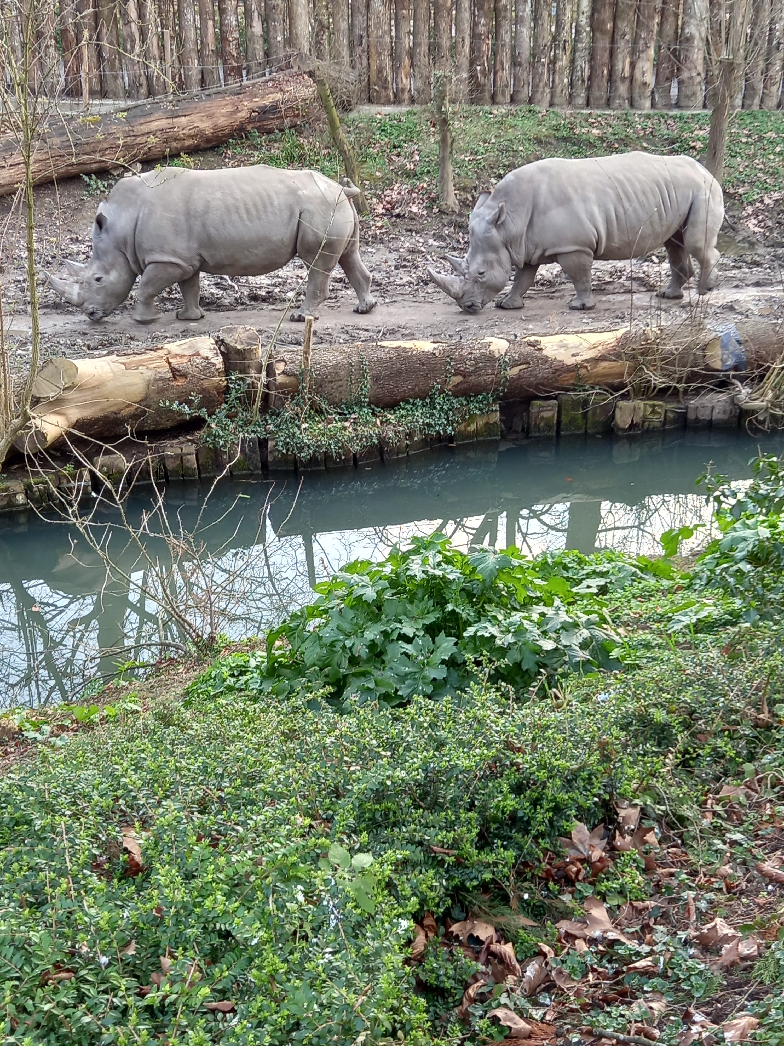 Photo n° 3 de l'avis de Isabelle.l fait le 06/03/2022 à 16:32