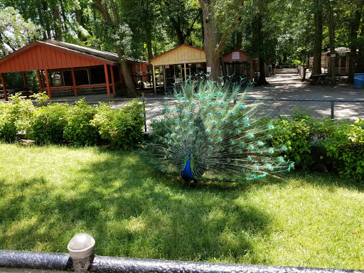 Zoo «Waccatee Zoological Farm», reviews and photos, 8500 Enterprise Rd, Myrtle Beach, SC 29588, USA