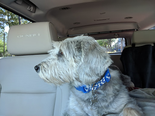 Pet Supply Store «PetSmart», reviews and photos, 30 Malphrus Rd, Bluffton, SC 29910, USA