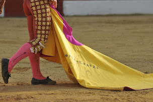 Photo n°17 de Arenes Joseph Fourniol à Vic-Fezensac ()