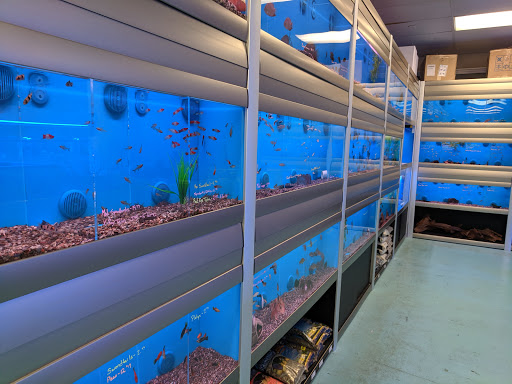 Pet Store «The Aquarium & Fish Store», reviews and photos, 710 W Lumsden Rd, Brandon, FL 33511, USA