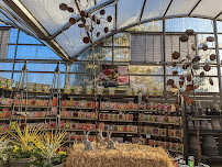 Dennis' 7 Dees Garden Center - Photo 9 - Car repair in Vancouver, WA, Vancouver