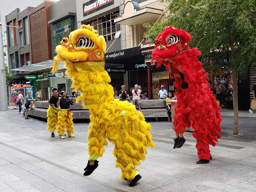 Stores to buy carnival costumes Adelaide