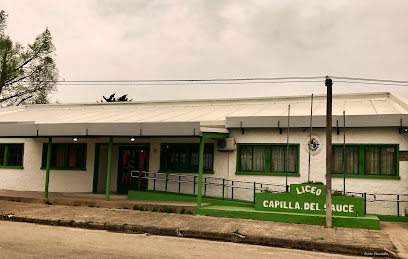 Liceo Capilla del Sauce