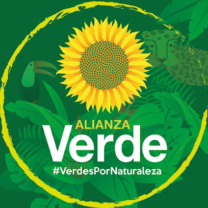 Partido Alianza Verde, San Vicente del Caguán
