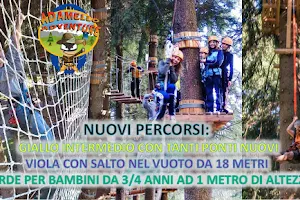 Adamello Adventure Park image