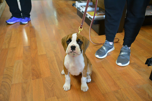 Pet Supply Store «The Natural Pet Enrichment Center», reviews and photos, 6720 Royalton Rd, North Royalton, OH 44133, USA