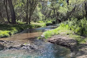 Sonoita Creek State Natural Area image