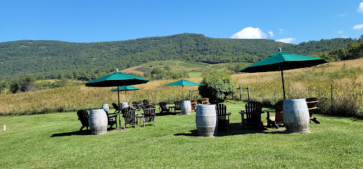 Vineyard «Glen Manor Vineyards», reviews and photos, 2244 Browntown Rd, Front Royal, VA 22630, USA