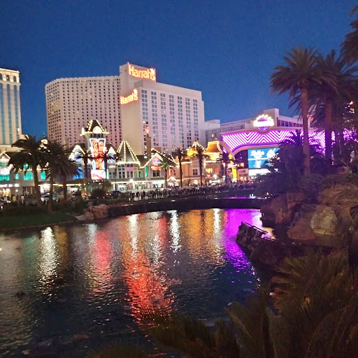Ctour Holiday image
