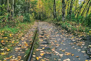 Palmer Rail Trail image