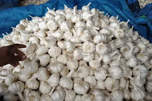 Riyawan Silver garlic(lahsun) riyawan image