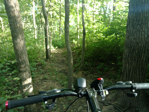 Park «Mather Woods Forest Preserve», reviews and photos, 25032 W Renwick Rd, Plainfield, IL 60544, USA