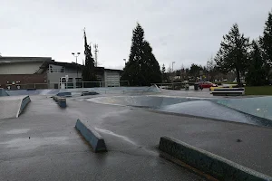 South Surrey Youth Park image