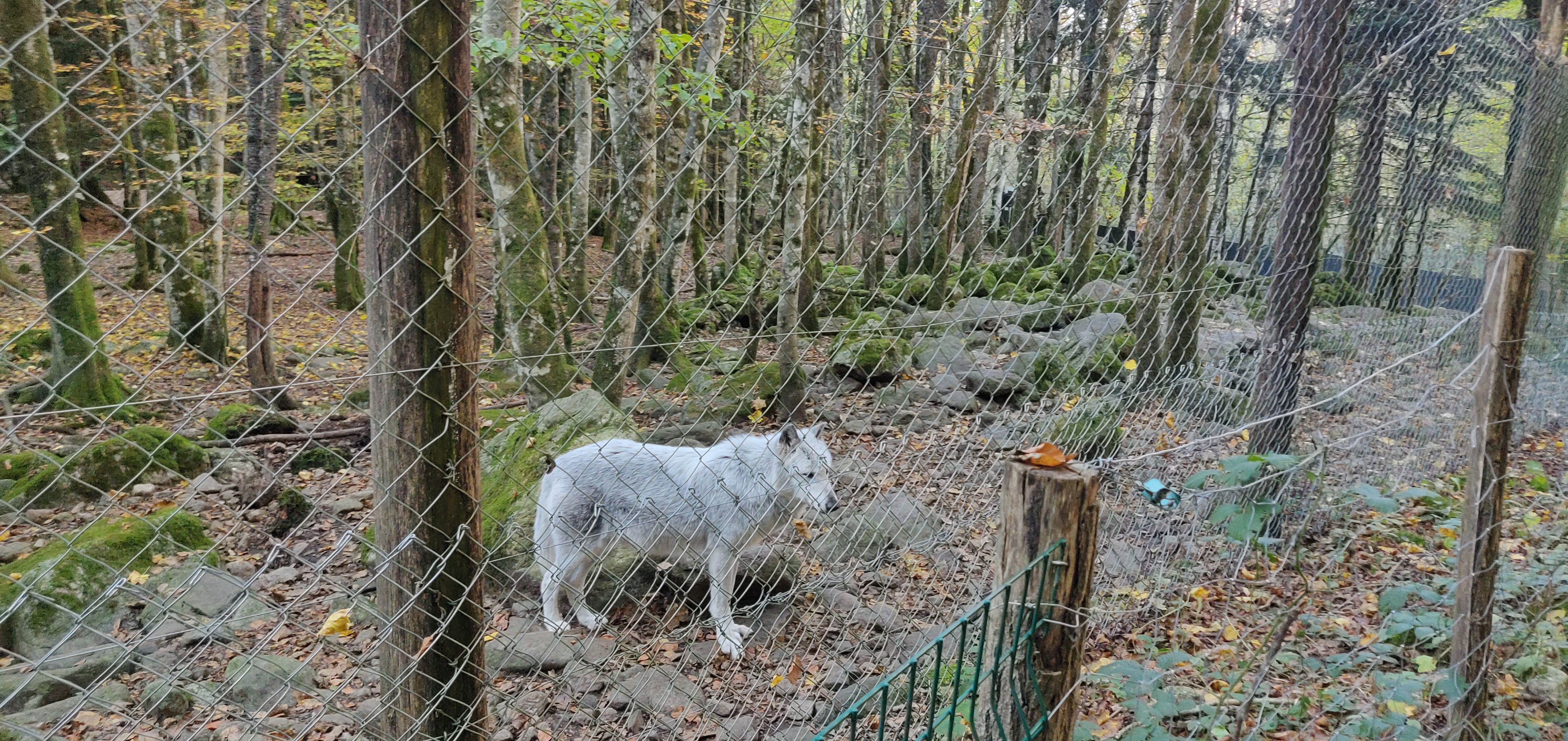 Photo n° 7 de l'avis de Arti.l fait le 29/10/2021 à 16:50