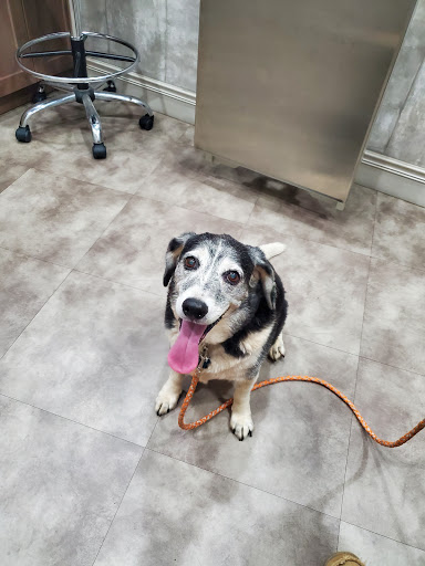 Hueytown Veterinary Clinic & Pet Lodge