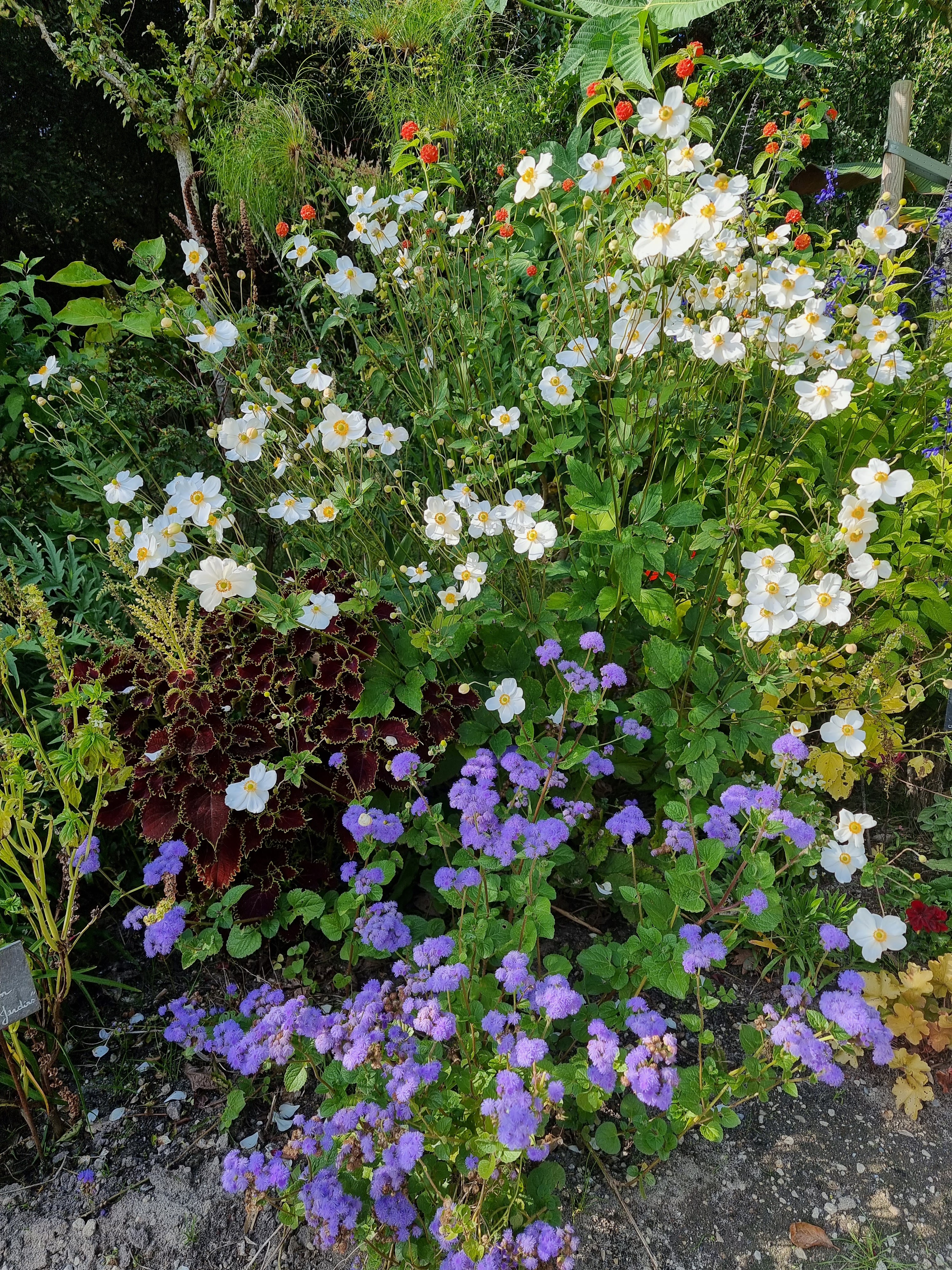 Photo n° 11 de l'avis de Philippe.a fait le 25/09/2022 à 19:28
