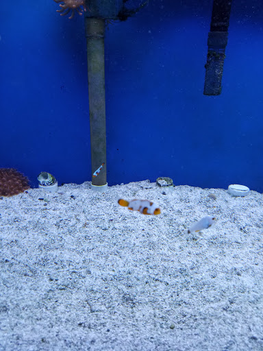 Tropical Fish Store «World Of Pets Inc», reviews and photos, 7199 Turfway Rd #2, Florence, KY 41042, USA