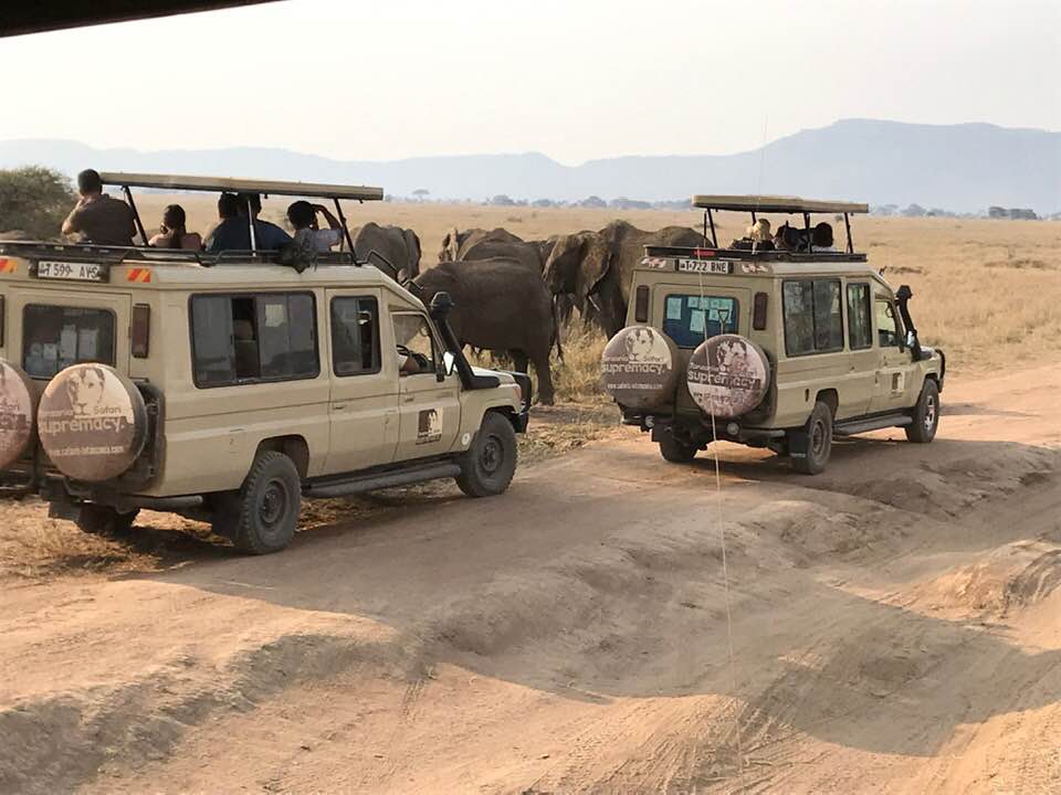 Tanzania Safari Tours Tanzania Safari Supremacy