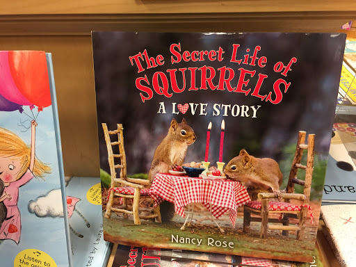 Book Store «Barnes & Noble», reviews and photos, 7157 Plaza Center Dr, West Jordan, UT 84084, USA