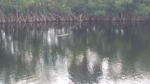 Visitor Center «Big Cypress Swamp Welcome Center», reviews and photos