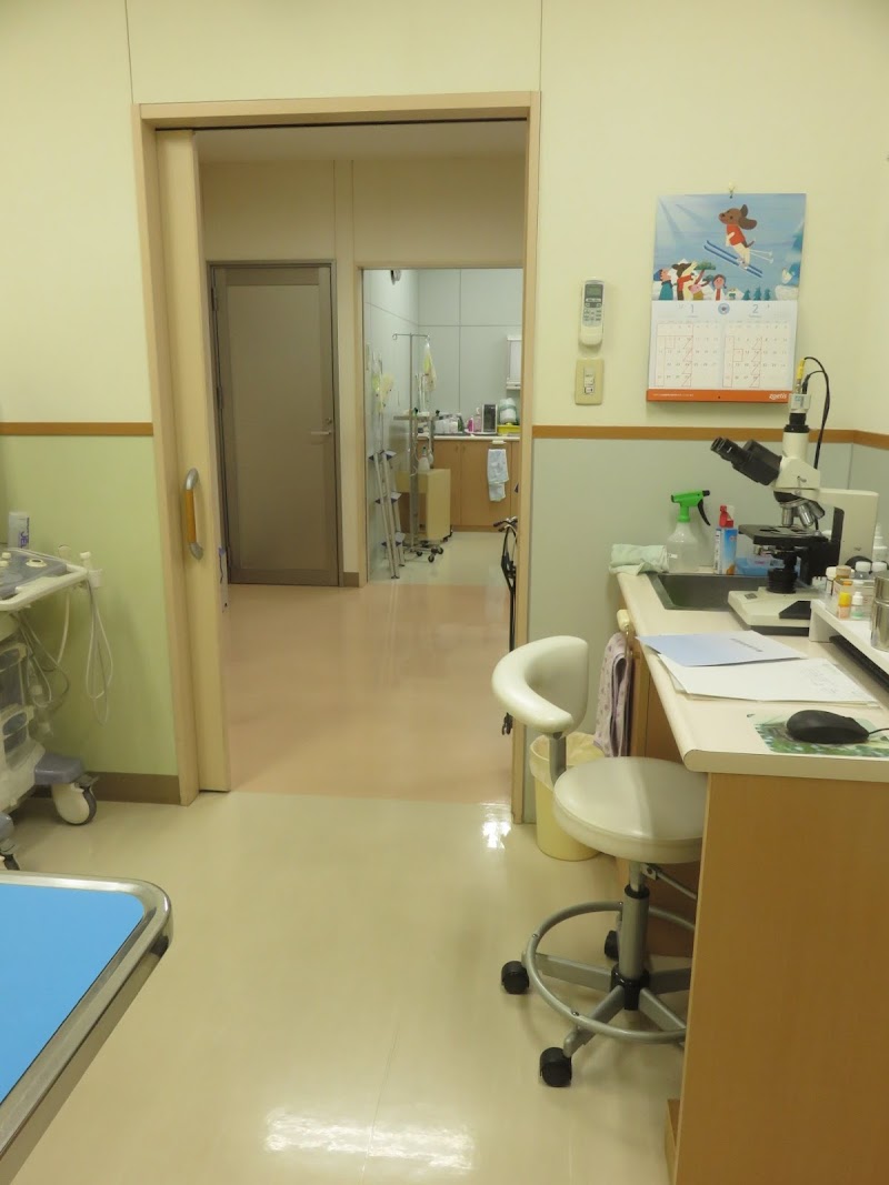飯塚動物病院