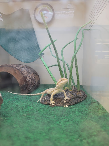 Pet Supply Store «Pet Supplies Plus», reviews and photos, 1937 FL-60, Valrico, FL 33594, USA