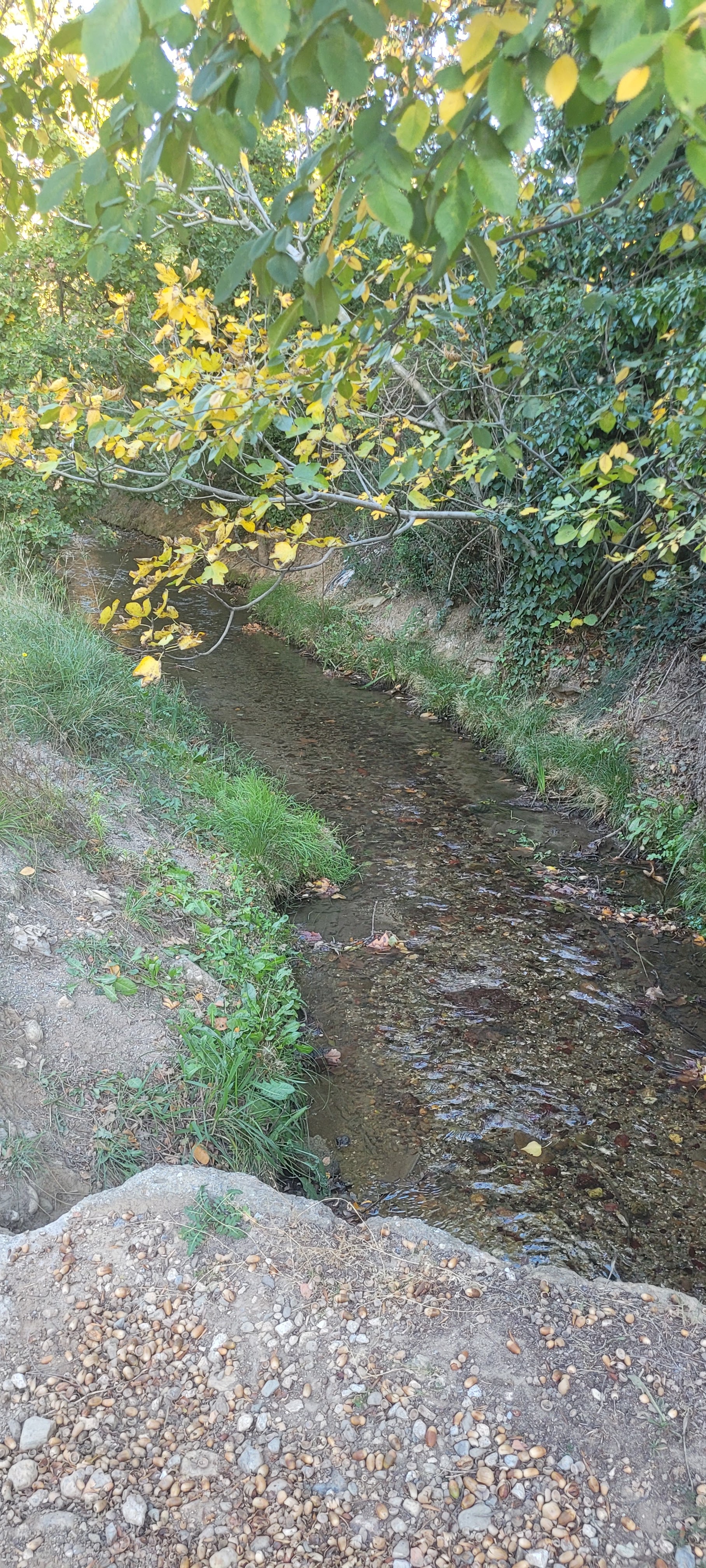 Photo n° 2 de l'avis de Maude.0 fait le 19/11/2023 à 17:18