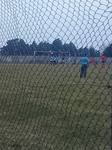 Opiniones de Estadio Tomás Green en Salto - Gimnasio