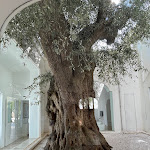 Photo n°4 de l'avis de Vikki.a fait le 07/10/2023 à 21:05 sur le  Il Melograno à Monopoli