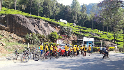 Cycling Tours & Rentals by Pedal Force Kochi