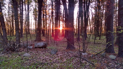 State Park «Lowell-Dracut-Tyngsborough State Forest», reviews and photos, Trotting Park Rd, Dracut, MA 01826, USA