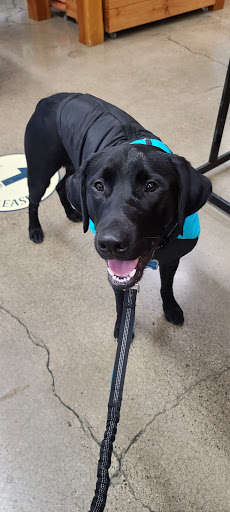 Pet Supply Store «Mud Bay», reviews and photos, 12186 SW Scholls Ferry Rd, Tigard, OR 97223, USA