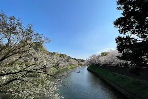 千代田区立 千鳥ヶ淵緑道 image