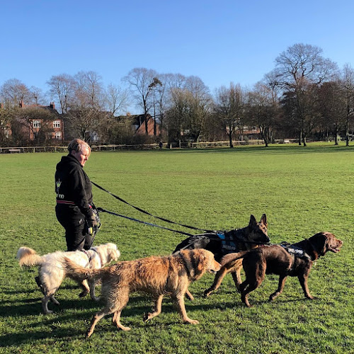 Reviews of Four Paws and Trails in Leicester - Dog trainer