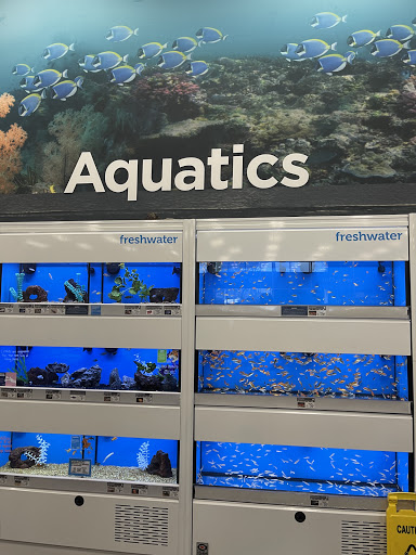 Petco image