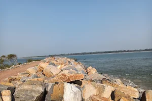 Nehrubangala Mahanadi River Estuary image