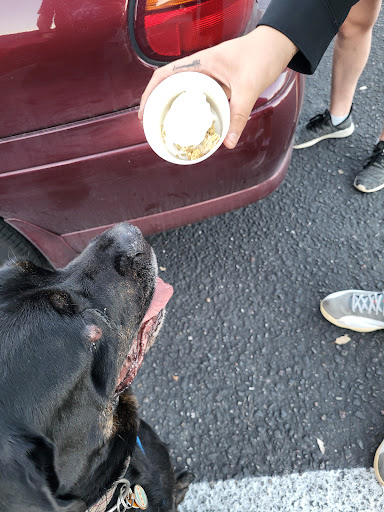 Shopping Mall «Bell Towne Plaza», reviews and photos, 245 E Bell Rd, Phoenix, AZ 85022, USA