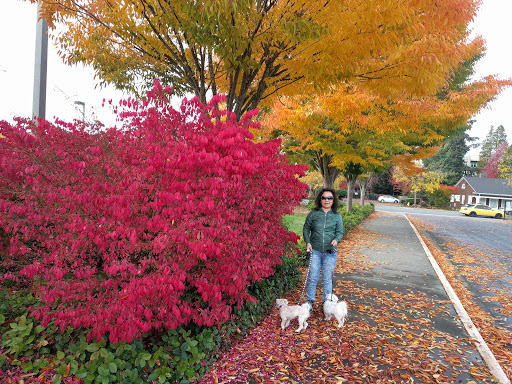 Community Center «Old Redmond Schoolhouse Community Center», reviews and photos, 16600 NE 80th St, Redmond, WA 98052, USA