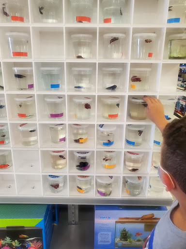 Pet Supply Store «PetSmart», reviews and photos, 1115 Vidina Pl, Oviedo, FL 32765, USA