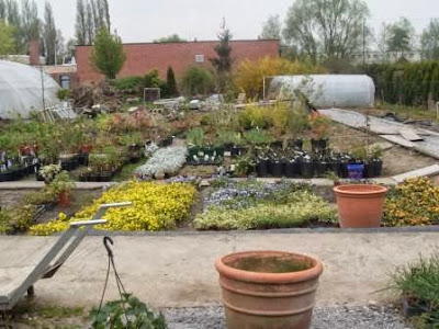 Jean Dubois Horticulteur à Béthune